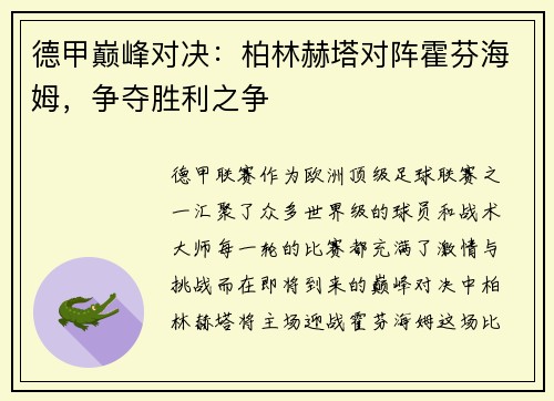 德甲巅峰对决：柏林赫塔对阵霍芬海姆，争夺胜利之争