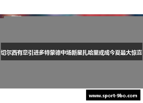 切尔西有意引进多特蒙德中场新星扎哈里或成今夏最大惊喜